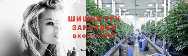 скорость Гусев