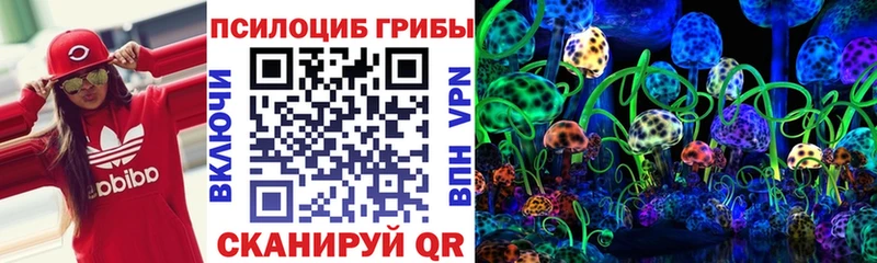 Галлюциногенные грибы Cubensis Артём